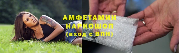 стаф Балахна